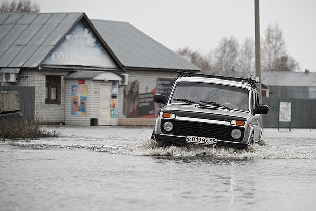 Вводная картинка