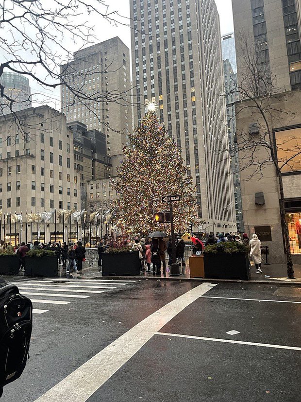 Рождественская елка перед центром Рокфеллера в Нью-Йорке