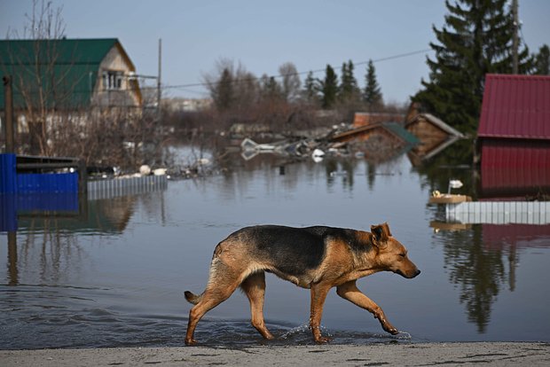 Вводная картинка