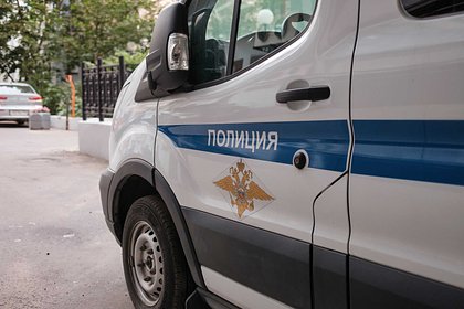 Убегавшего от бродячей собаки ребенка сбила машина в российском регионе