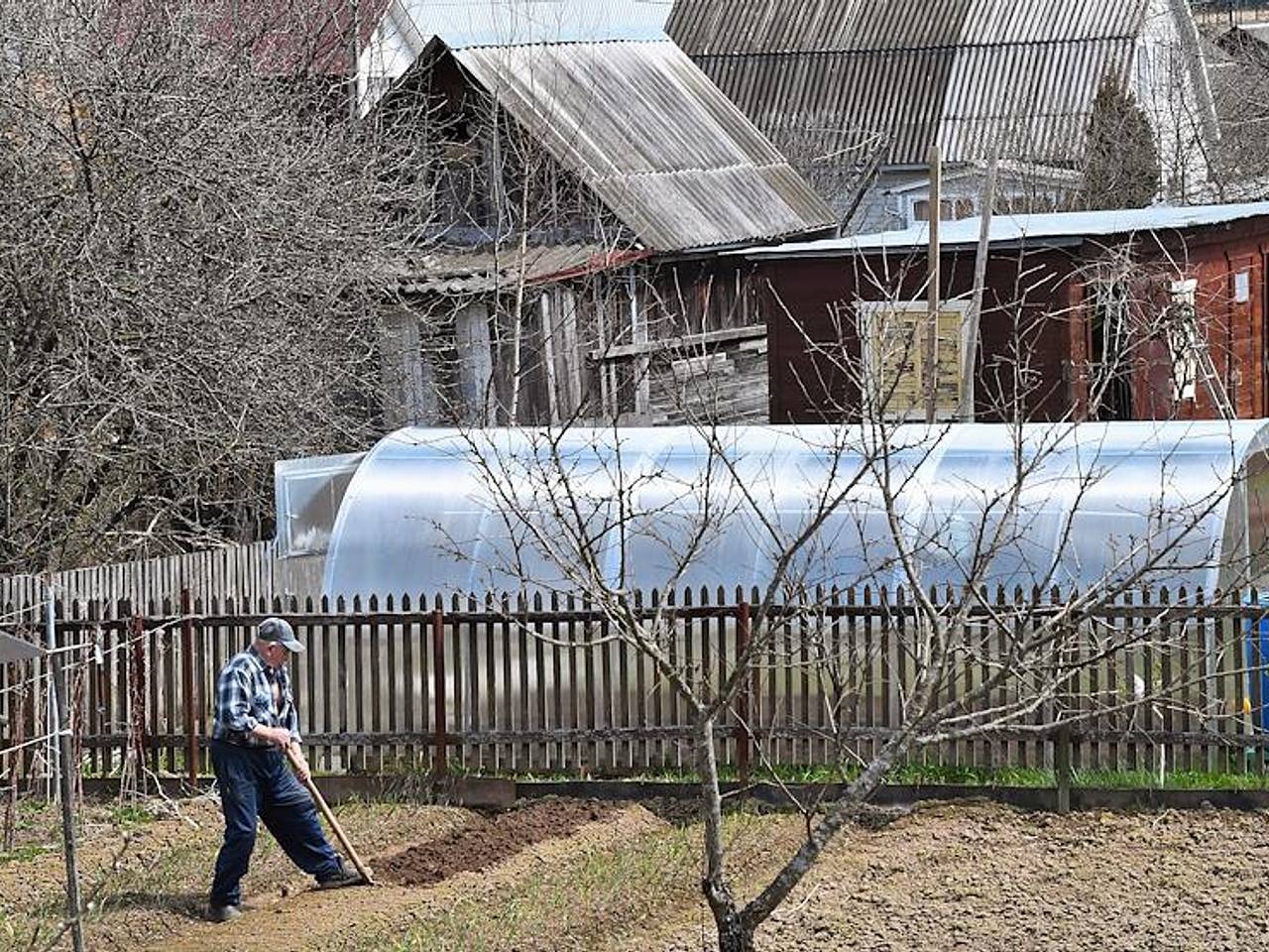 Россиянам назвали эффективные способы избавиться от насекомых на даче:  Городская среда: Экономика: Lenta.ru