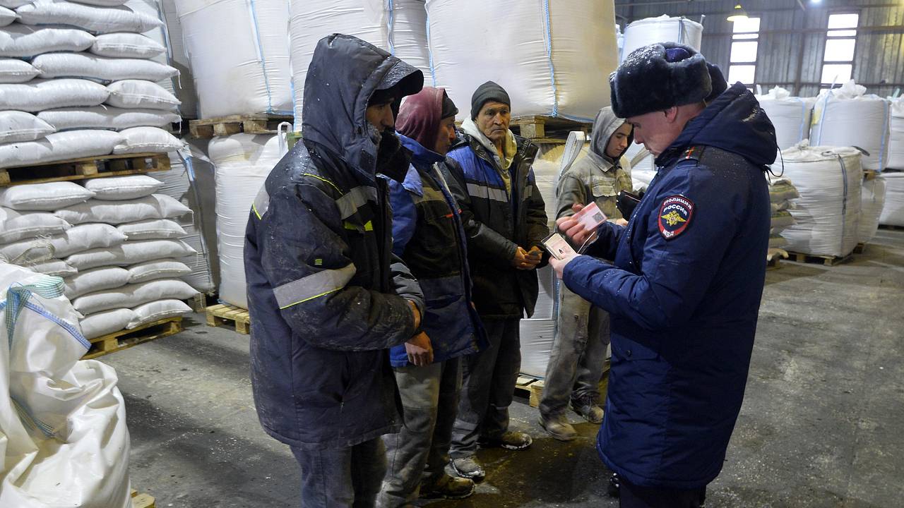 В России рассказали об ужесточении миграционной политики: Политика: Россия:  Lenta.ru