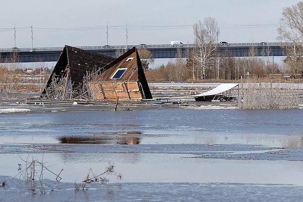 Вводная картинка