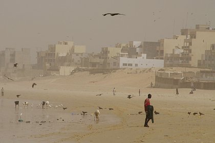 Россиянам назвали опасность песчаной пыли из Африки