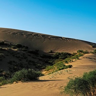 Песчаный бархан "Сарыкум" в Дагестане