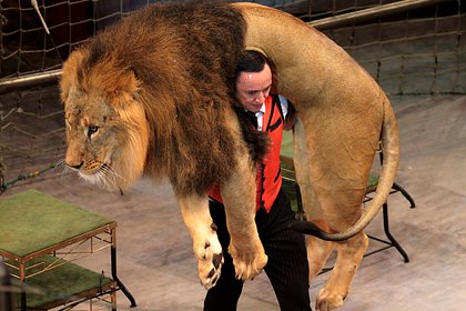 Дрессировщик львов стал основателем цирковой династии и поделился опытом