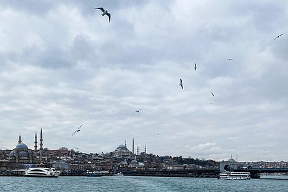 Жителей Стамбула предупредили о риске мощного землетрясения