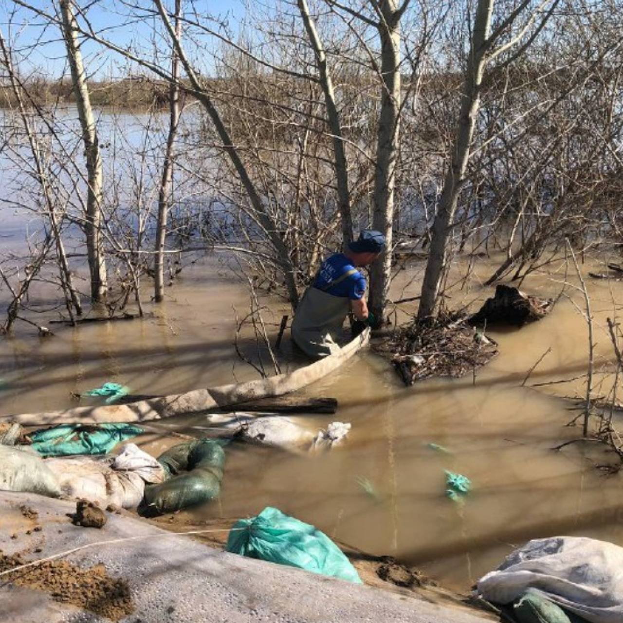 В тюменском селе Абатское остановился подъем уровня воды: Регионы: Россия:  Lenta.ru