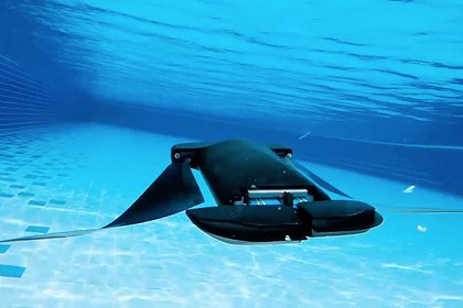 В США рассказали об огромном подводном дроне