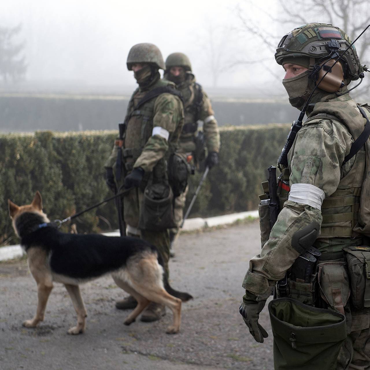 Крупный схрон с боеприпасами нашли в подвале заброшенного дома под  Херсоном: Полиция и спецслужбы: Силовые структуры: Lenta.ru