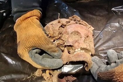 В «Волчьем логове» Гитлера нашли скелеты без стоп и кистей рук