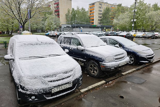 Вводная картинка