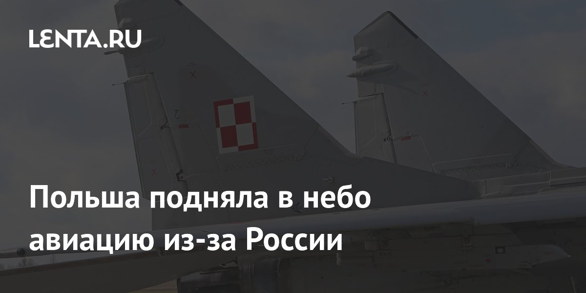 Польша подняла в небо авиацию из-за России: Политика: Мир: Lenta.ru
