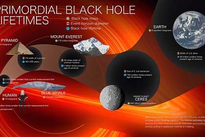 Предсказано обнаружение экзотических черных дыр