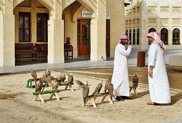DOHA, QATAR -22 DEC 2016- Qatari men with hunting falcons at the Falcon Souq, a market selling live falcon birds and falconry equipment located in the center of Doha.