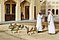 DOHA, QATAR -22 DEC 2016- Qatari men with hunting falcons at the Falcon Souq, a market selling live falcon birds and falconry equipment located in the center of Doha.