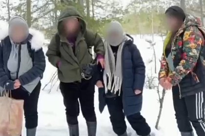Четырех пытавшихся дойти до Финляндии иностранцев поймали в российском лесу