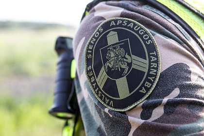 В Литве допустили тренировку военных на Украине