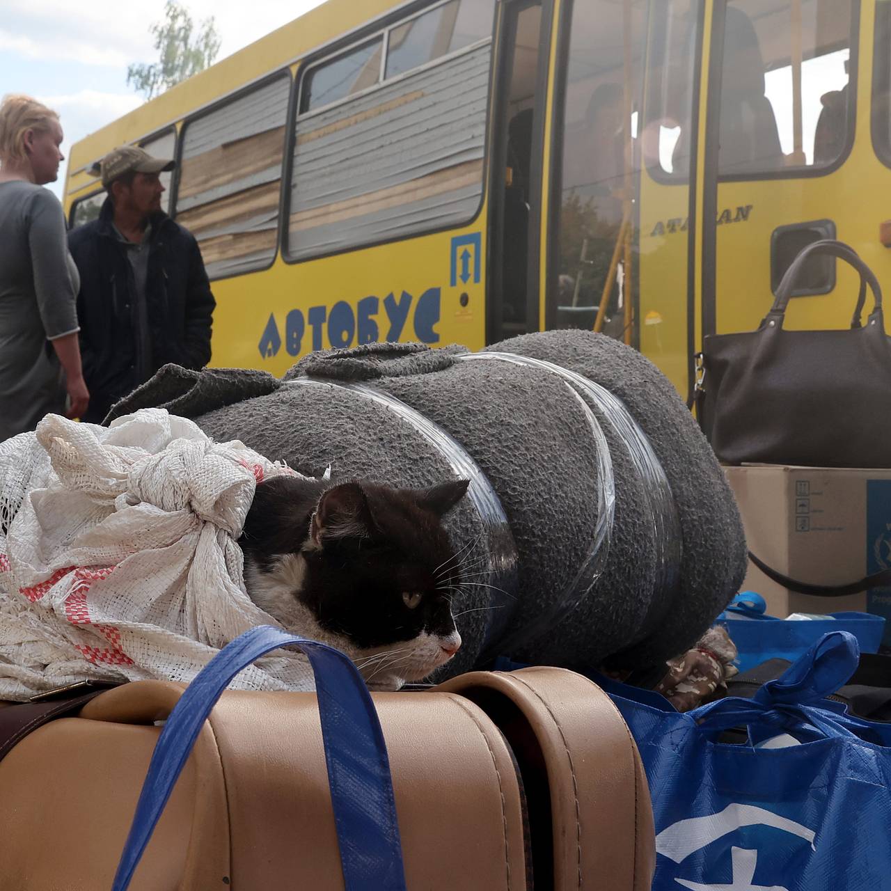 В Харьковской области заявили о принудительной эвакуации: Украина: Бывший  СССР: Lenta.ru