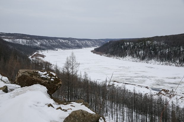 Вводная картинка