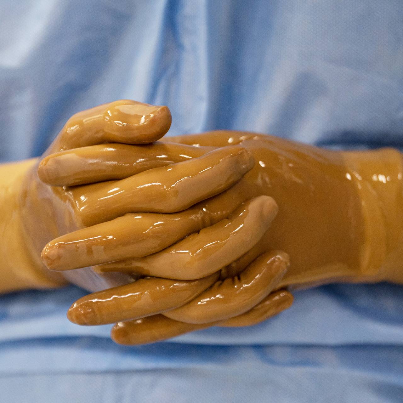 Фото: Сергей Гунеев / РИА Новости