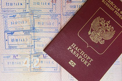 Проект о проверке штампов в паспортах одной категории россиян внесли в Думу