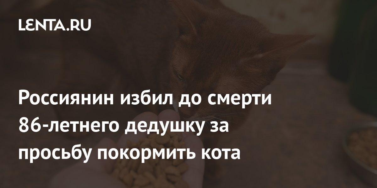 Россиянин избил до смерти 86-летнего дедушку за просьбу покормить кота ...