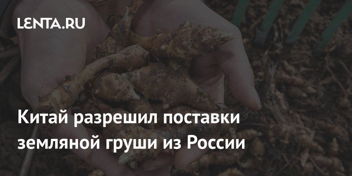 Китай разрешил поставки земляной груши из России