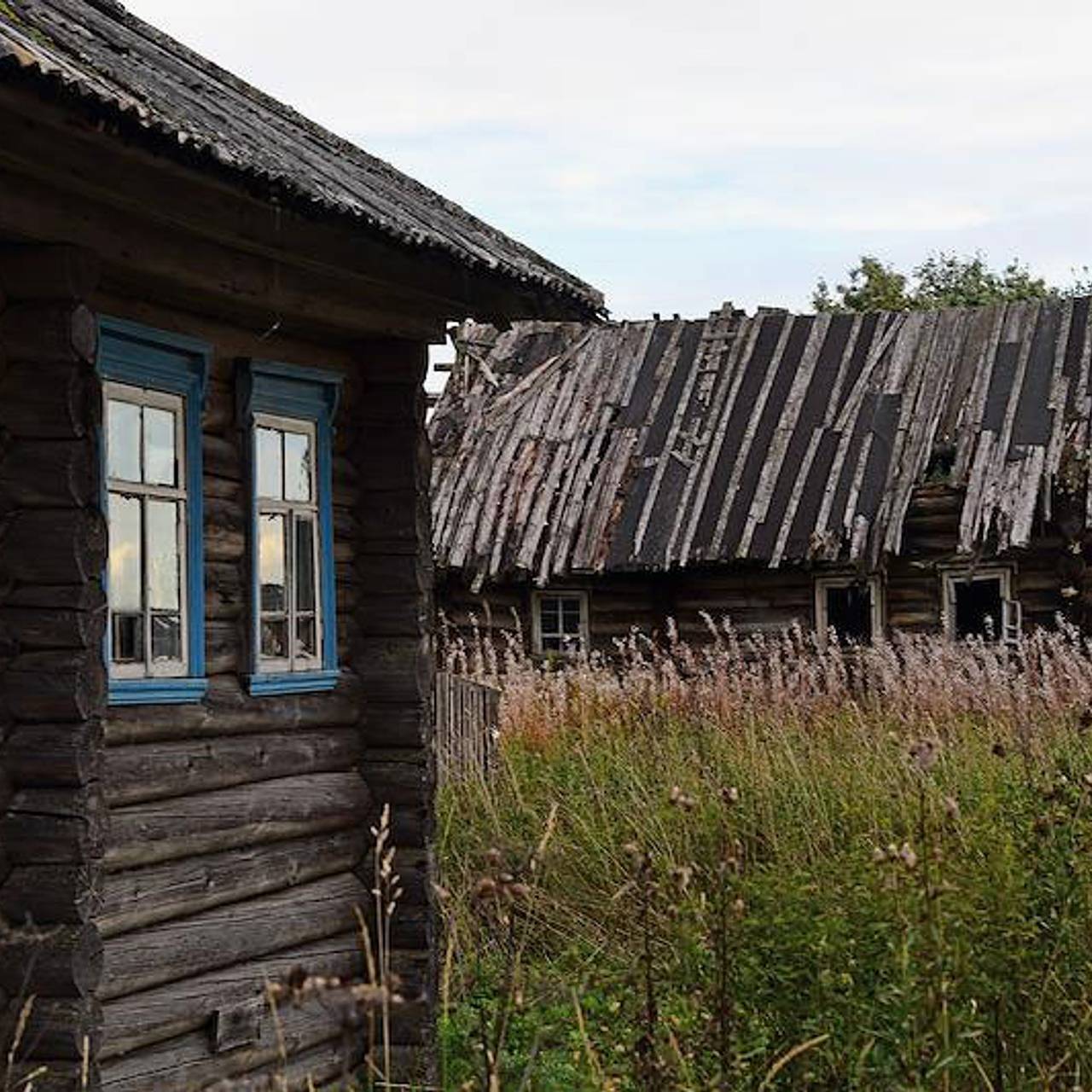 В России нашли способ «оживить» деревни: Городская среда: Экономика:  Lenta.ru