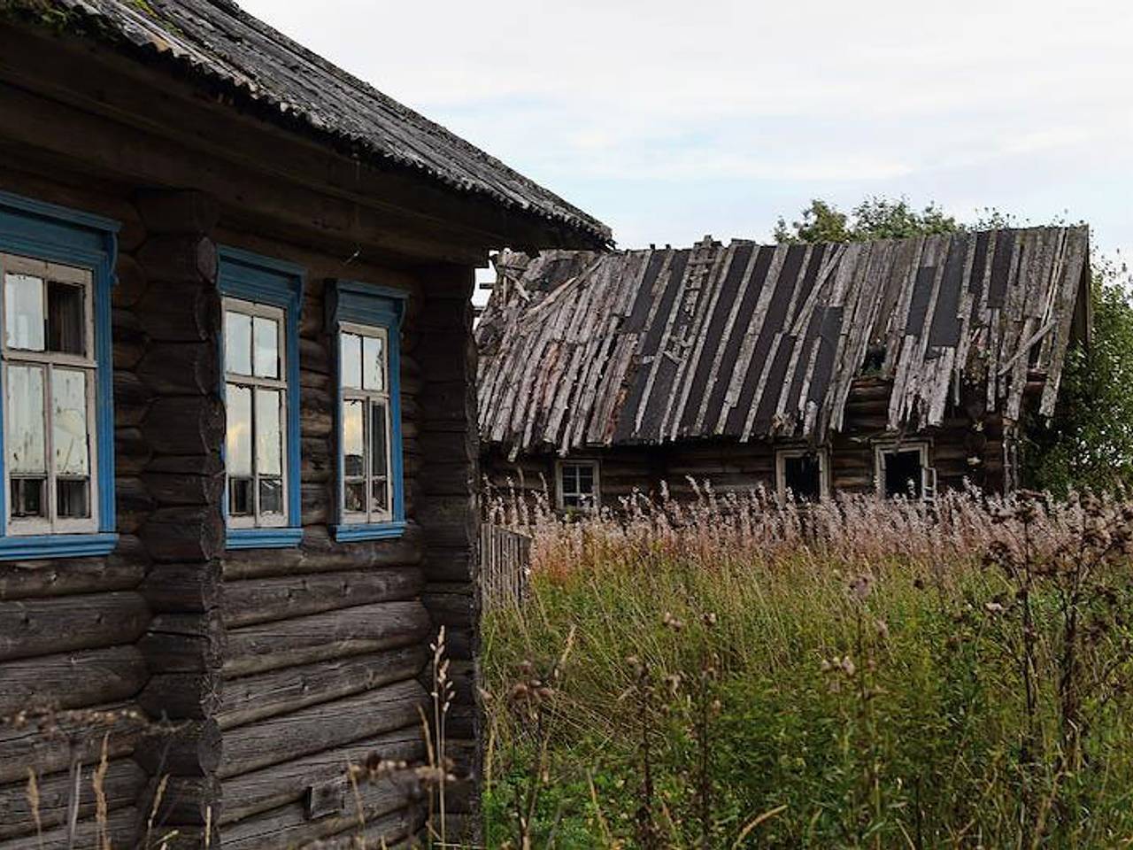 В России нашли способ «оживить» деревни: Городская среда: Экономика:  Lenta.ru