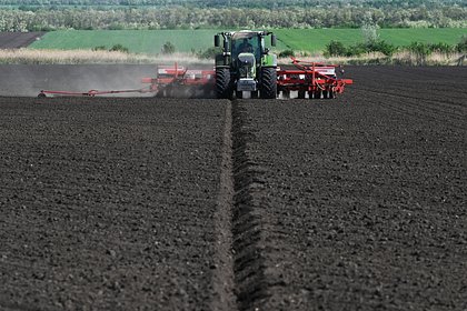 Российские сельхозпредприятия столкнулись с угрозой банкротства