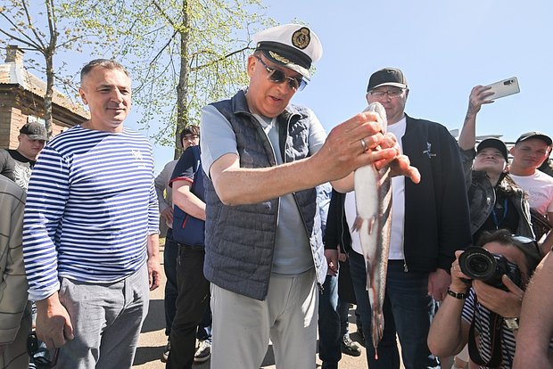 Вводная картинка