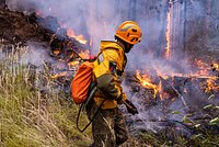 «Время — ключевой фактор» В России ждут новых лесных пожаров. Как страна будет бороться со стихией?