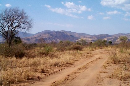 Турист отправился в национальный парк в Африке и попал в перестрелку
