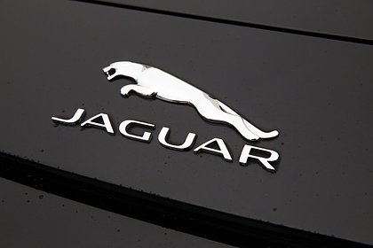 Модель Playboy из России разбила новый Jaguar
