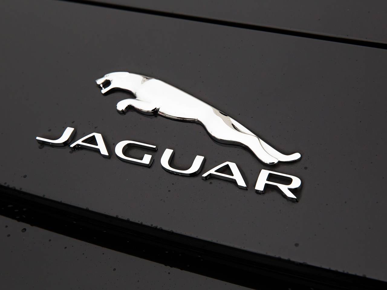 Модель Playboy из России разбила новый Jaguar: Происшествия: Из жизни:  Lenta.ru