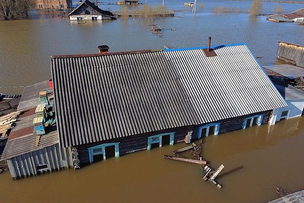 Вводная картинка