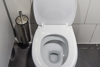 «Эксгибиционистские» туалеты в российской школе назвали приемлемыми