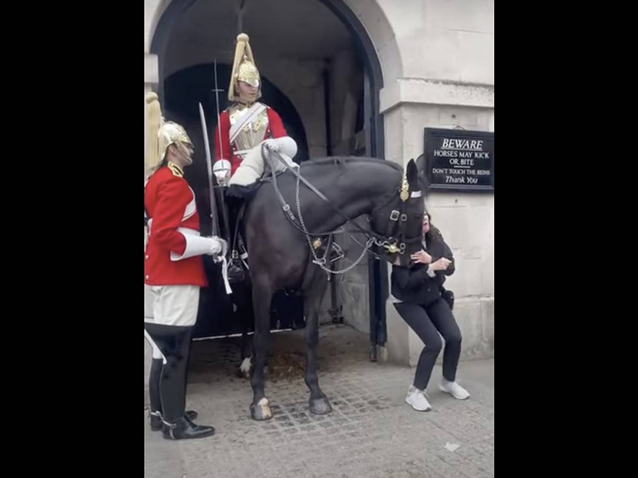 Лошадь из гвардии Карла III напала на американскую туристку и попала на  видео: Происшествия: Из жизни: Lenta.ru