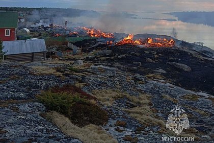 Десятки домов в российском селе сгорели из-за упавшего столба