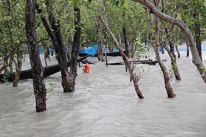 Миллион жителей Бангладеш и Индии покинули дома из-за циклона