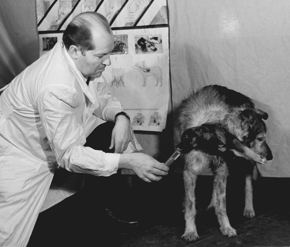 Советский биолог Владимир Демихов с одной из двухголовых собак