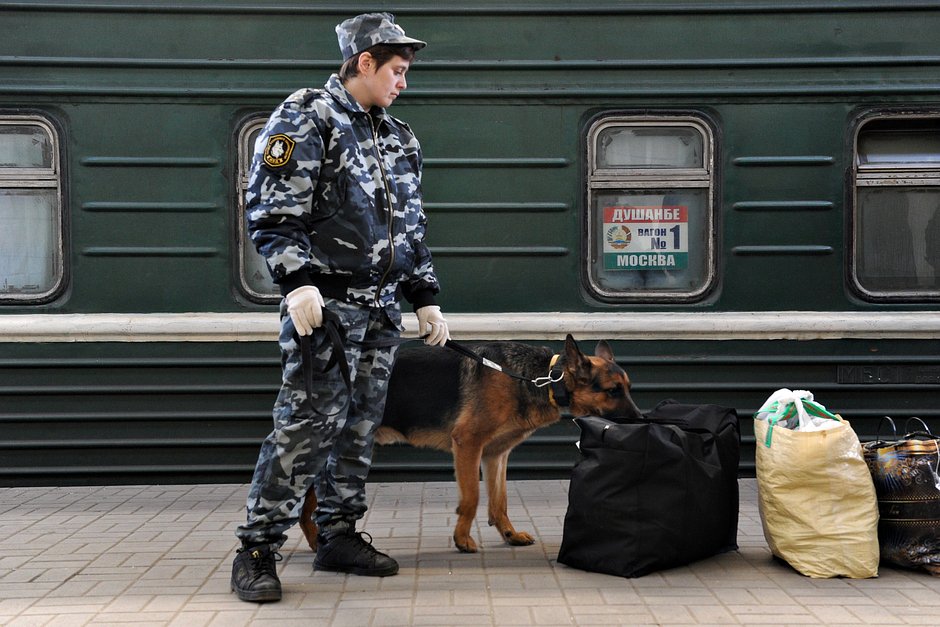 Сотрудник службы безопасности с собакой у вагона пассажирского поезда Москва — Душанбе на Казанском вокзале в Москве