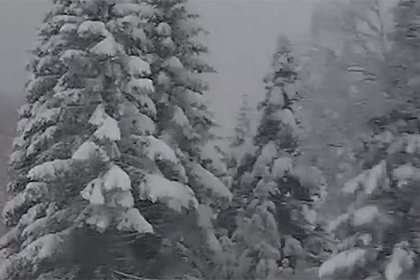 Снег пошел в российском регионе за три дня до лета и попал на видео
