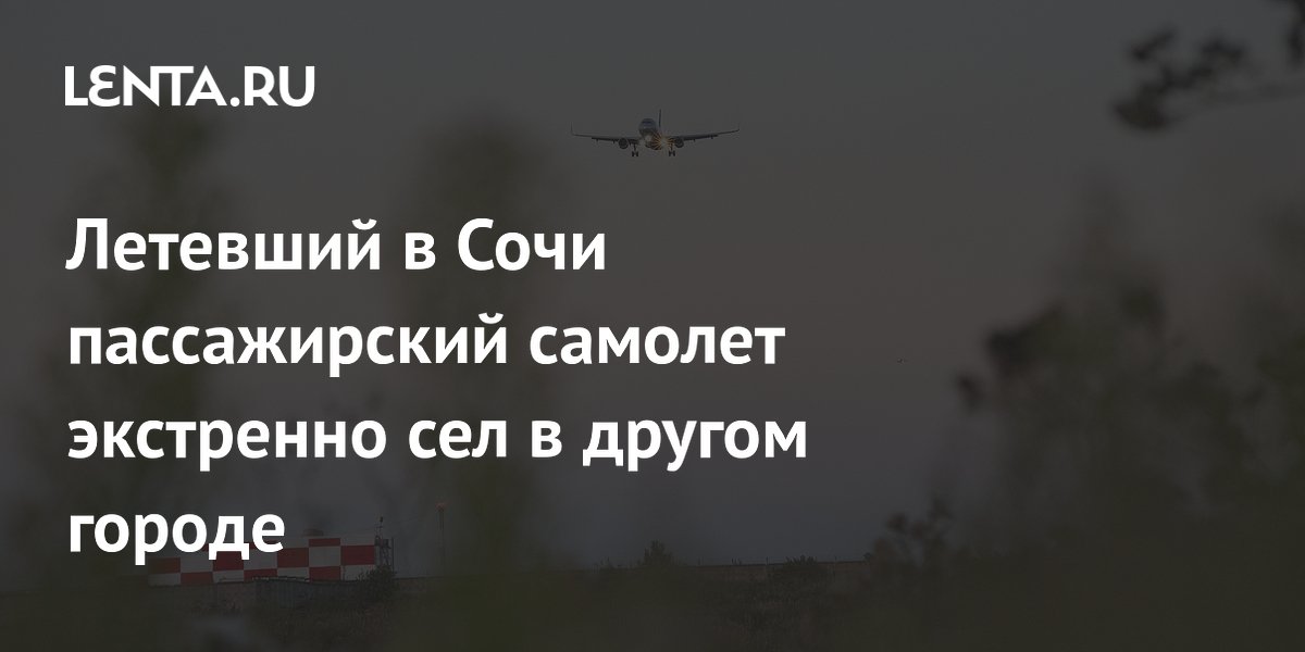 Летевший в Сочи пассажирский самолет экстренно сел в другом городе