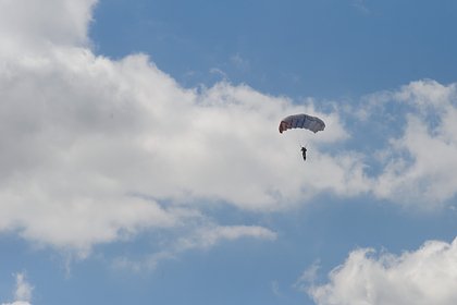 В российском регионе спасатели сняли парашютистку с дерева