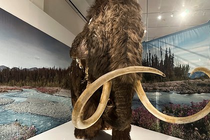 Обнаружены останки крупных древних животных Северной Америки