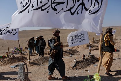 Талибы заявили о ликвидации ячейки ИГ