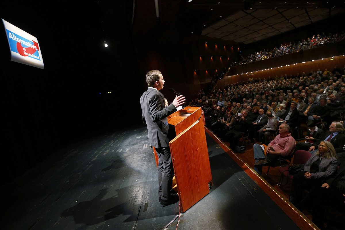 Сооснователь партии «Альтернатива для Германии» Бернд Люке обращается к аудитории первого неформального собрания АдГ в Оберурзеле, Германия, 11 марта 2013 года