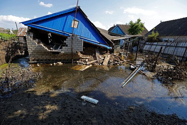 Вводная картинка